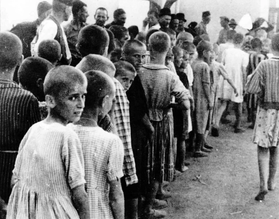 јасеновац-1 јасеновац-1